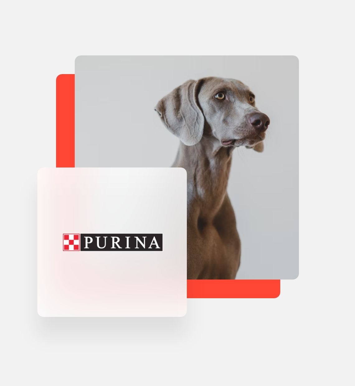 Purina logo with dog